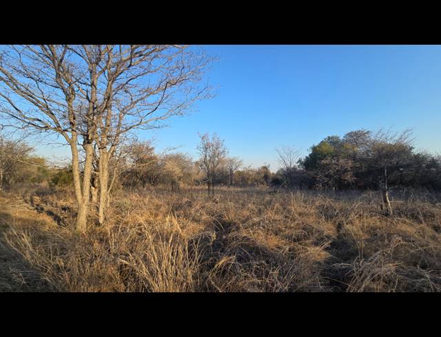 8.60M² SMALLHOLDING FOR SALE IN BELA BELA RURAL